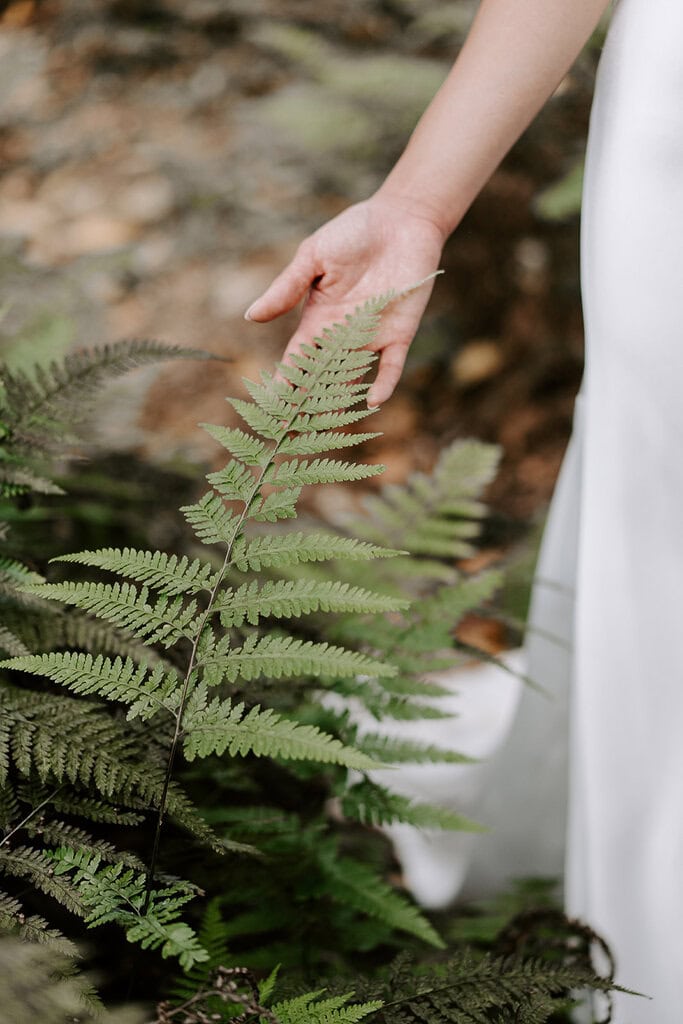 a bride gently touching fern leaves.