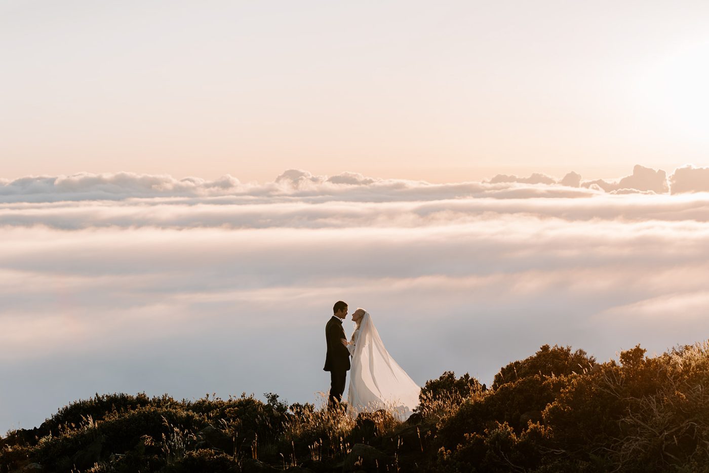 Everything You Need to Know About a Haleakalā Wedding