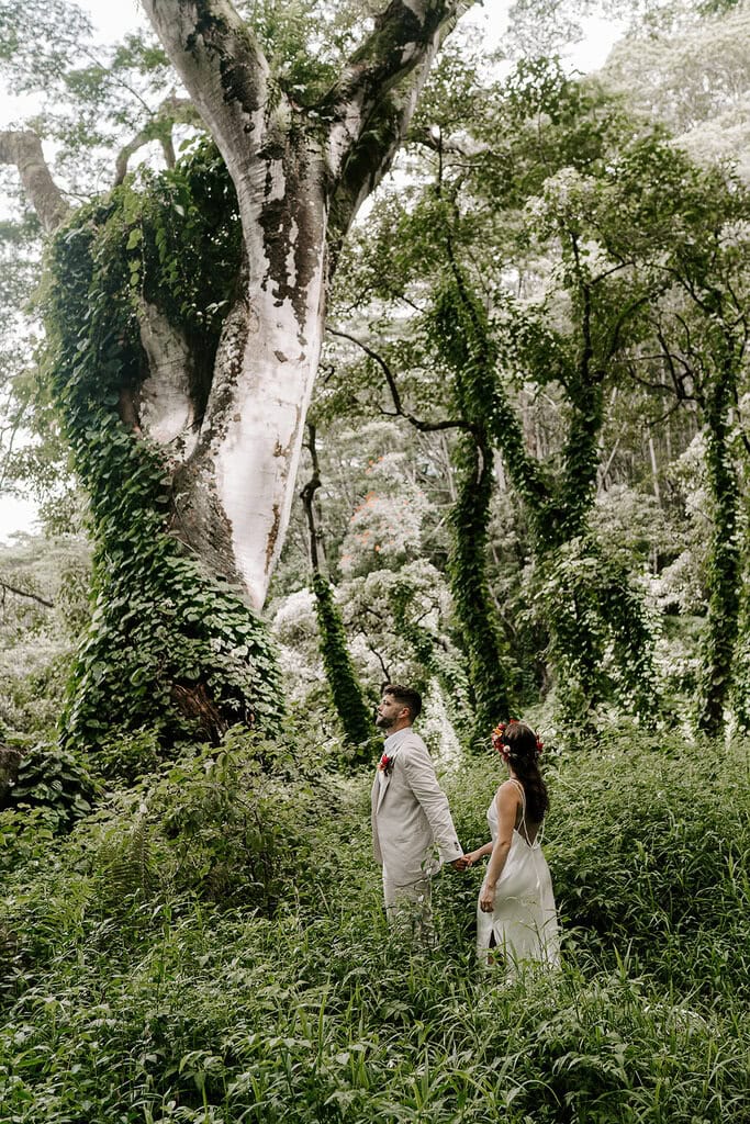newlyweds holding hands walking through the forest in Kauai.